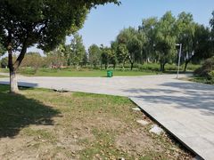 -九里河湿地公园