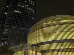 -港汇恒隆广场