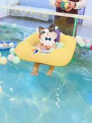 -沫奇婴幼儿水育馆(青山湖万达店)