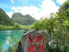 -靖西鹅泉风景区