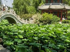 -莲池书院博物馆