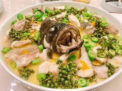 青青椒麻龙胆鱼-CHIC1699远洋私厨