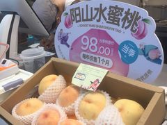 -大围山国家森林公园