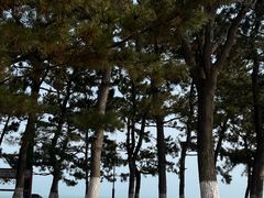 -米笑情(韩乐坊店)