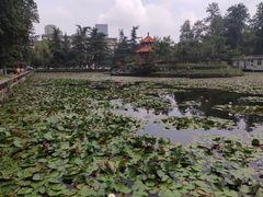 -四川大学(望江校区)