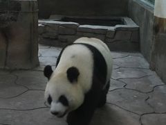 -宁波野生动物园