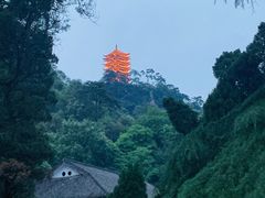 -缙云山景区