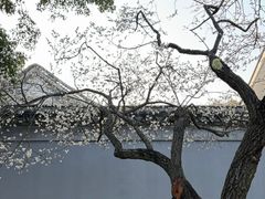 -无锡梅园公园