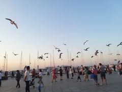 -东港音乐喷泉广场