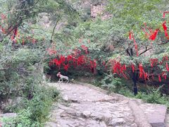 -鸡鸣山旅游风景区