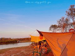 -春花秋色城市公园