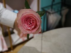 -西檬树SIMON·T轻奢蛋糕(大东方Max店)