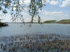 -丁香湖公园