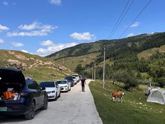 -芦芽山旅游度假区