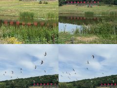 -沈阳森林动物园