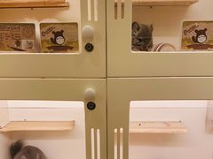 -龙猫仔乐园(惠福东路店)