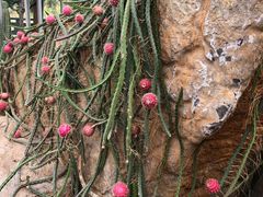 -南通洲际绿博园