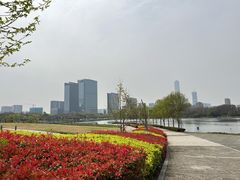-白塘生态植物园