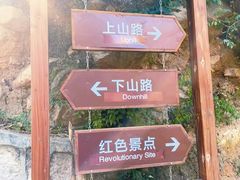 -大岭沟猕猴桃谷风景区