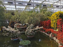 -燕郊植物园