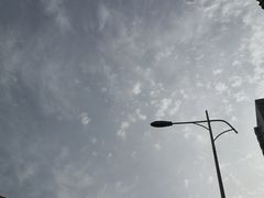 -岭峥炒栗(大河古镇店)