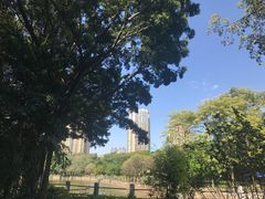 -晓港公园