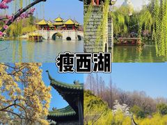 -大潮淮·淮扬菜(何园旗舰店)