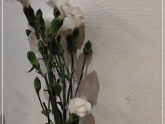 -AFS Cafe & Canteen(闽江二路店)