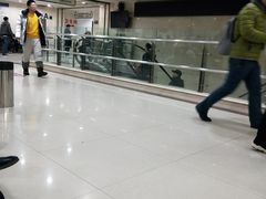 -中国医科大学附属盛京医院(南湖院区)