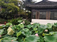 -南通濠河风景名胜区