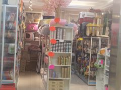 -北京观赏动物医院·24小时大型综合·猫专科·异宠专科