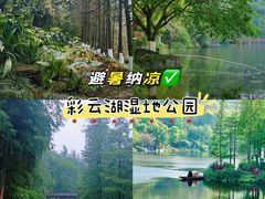 -重庆彩云湖湿地公园