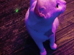 -星宿秘码(鼓浪屿老店)