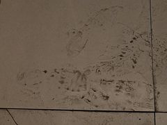 -小昆山服务区-停车场