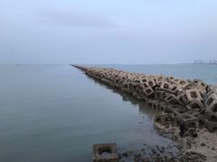 -东疆建设开发纪念公园