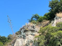-鼓浪屿内厝澳码头(轮渡站)