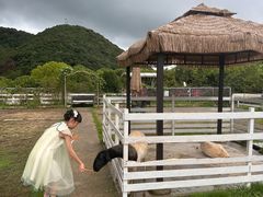 -宁波九龙湖开元度假村