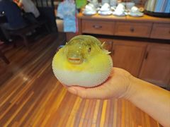 -永安鱼庄·镇江菜(丁卯店)