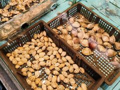 -怀德酒楼·粤菜·海鲜·茶点(宝安国际机场店)