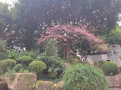 -乌山风景区