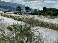 -云禾壹海景庄园餐厅
