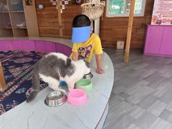 点击看大图 -萌宠亲子动物乐园(槐房万达店)