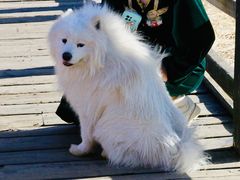 -丽江泸沽湖景区
