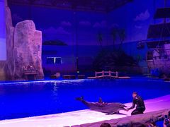 -华夏文旅海洋公园