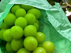 -马陆小张葡萄园农家乐