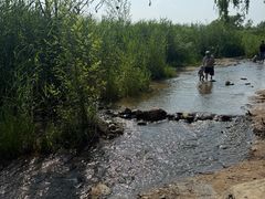 -绿堤公园