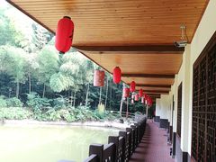 -铁山坪森林公园