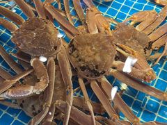 -驻海渔市(置信店)