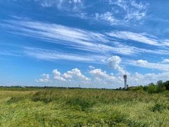 -上海吴淞炮台湾国家湿地公园