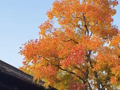 -老门东历史文化街区